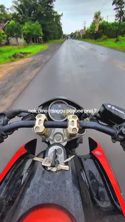 Dino minggu