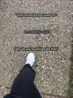 tigers