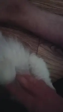1 video cute