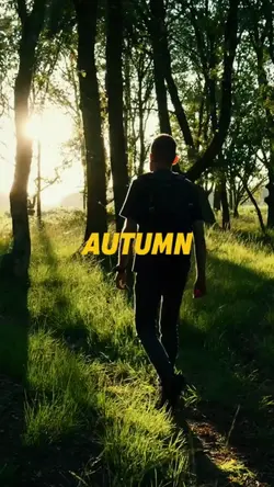Autumn Vibes
