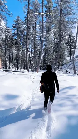 Snowfall