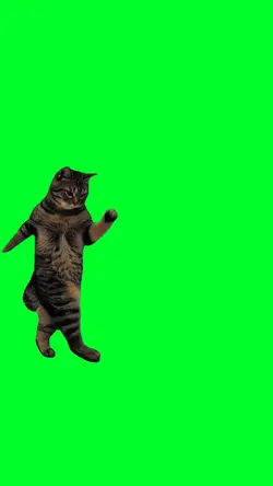 Super mario cat meme