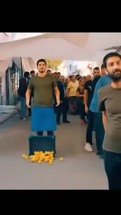 Trending Templates🔥
