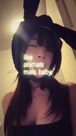 animals