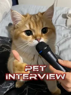 pet interview