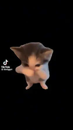 scuba cat wity pet 
