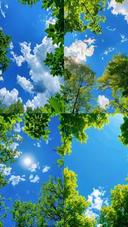 beautiful cloud