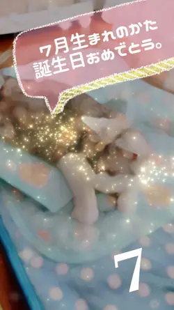 誕生日おめでとう。