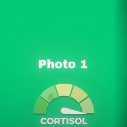 New template