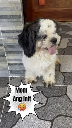 Mom Ang init