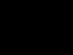 Poithaana