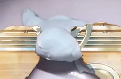 손크로마키!!💕💕