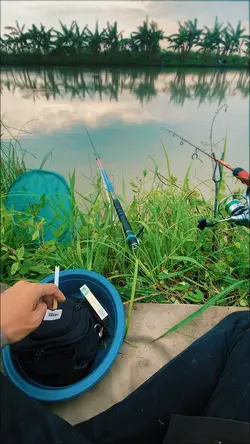 Tibo tangi 11 clip🍃
