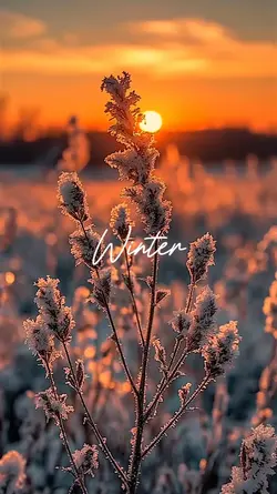 winter