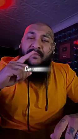 Dani Mocanu Template