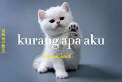 kurang apa aku