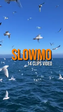 SLOWMO 14 clips