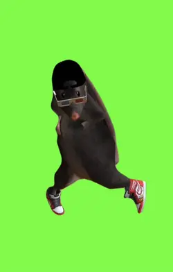 Rat danse 
