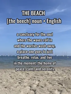 The beach 