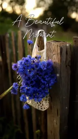 Moment
