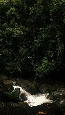 nature therapy
