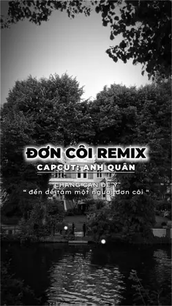 Đơn Côi Remix