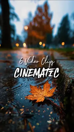 6 Video Clips