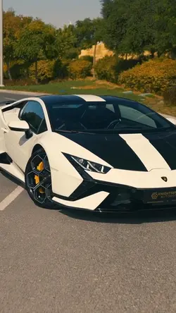 LOVE LAMBO ❤️💕