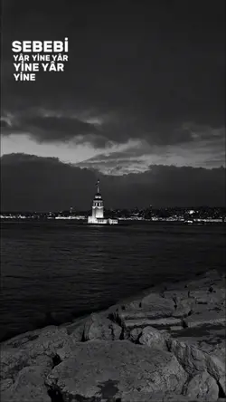 yeni şablon