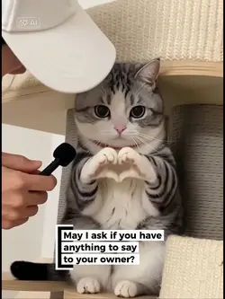 Cat Sign to Owner