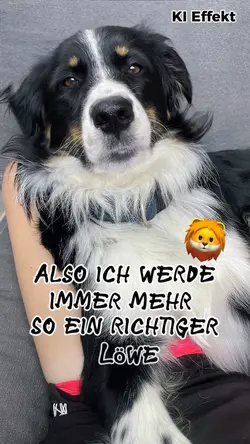Löwe KI