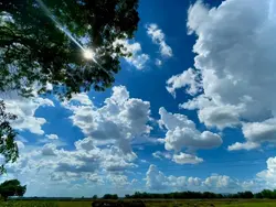 weather  video