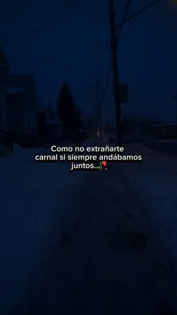 Te extraño bro
