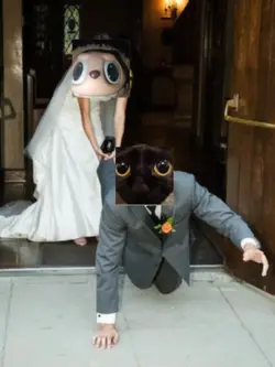 bride & groom