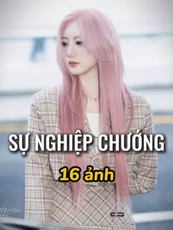 SNC • 16 ảnh