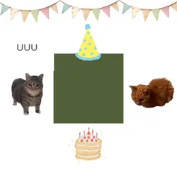 Birthday