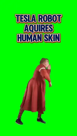Tesla robot human