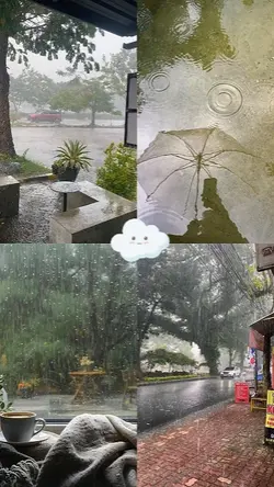RAINY FEELS