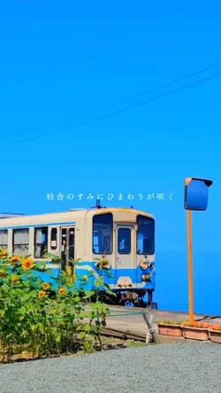 〜夏の思い出動画〜