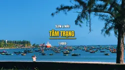 TÔI CẢ ĐỜI PHIÊU BẠT