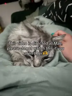 A video for Mae<3