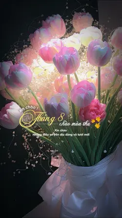 Lời chúc tháng 8