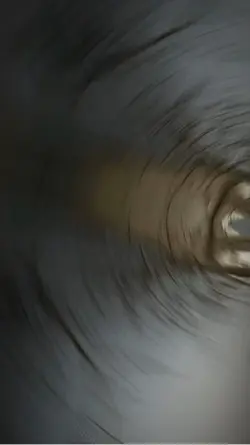 鶯中隊長