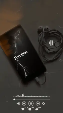 Tek fotoğraf