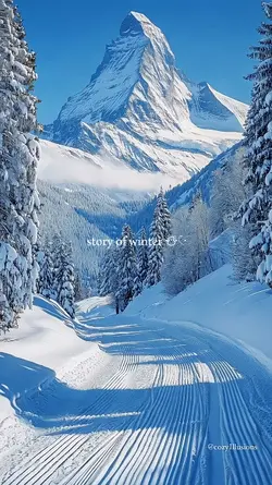 winter 2025