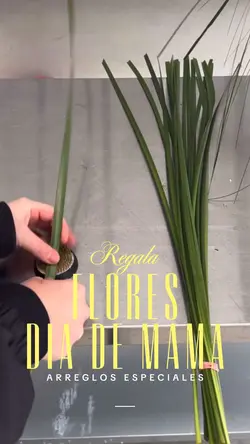 Florería mamá 