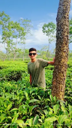 তুই জানরে