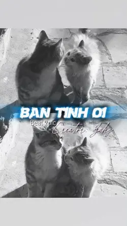 Ngàn hương hoa toả