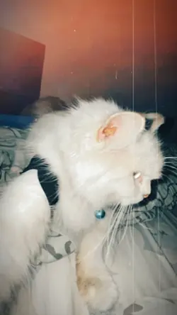 I lay my love on u