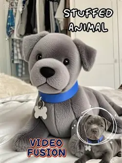 Stuffed Animal